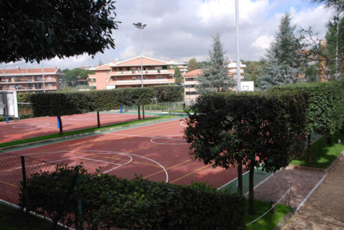 Canchas-basket1600