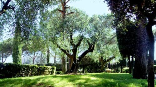 Naturalez-pcimme1600