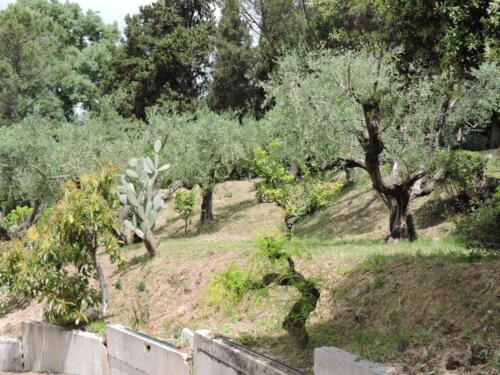 Naturaleza-2-pcimme160